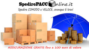 Spedizione ASSICURATA GRATIS fino 100 euro di valore del contenuto